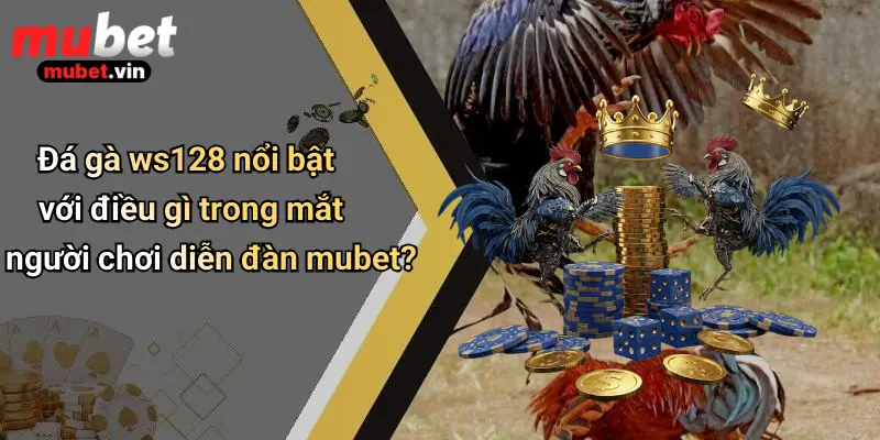 Đá gà ws128 nổi bật với điều gì trong mắt người chơi diễn đàn mubet?