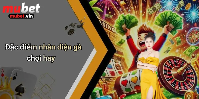 Đặc điểm nhận diện gà chọi hay