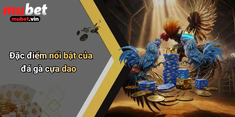 Đặc điểm nổi bật của đá gà cựa dao