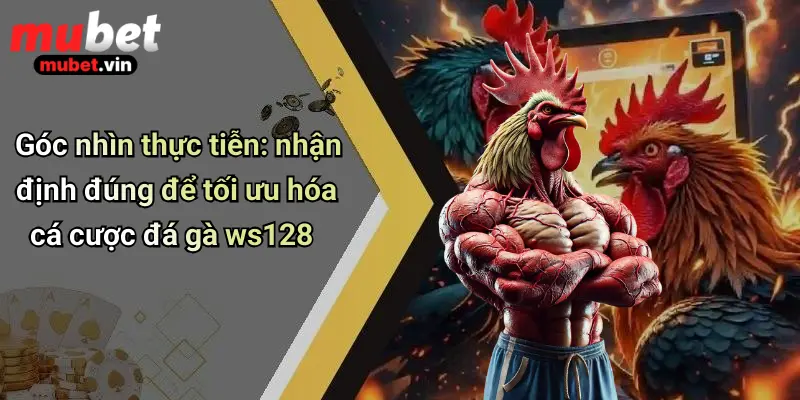 Góc nhìn thực tiễn: nhận định đúng để tối ưu hóa cá cược đá gà ws128