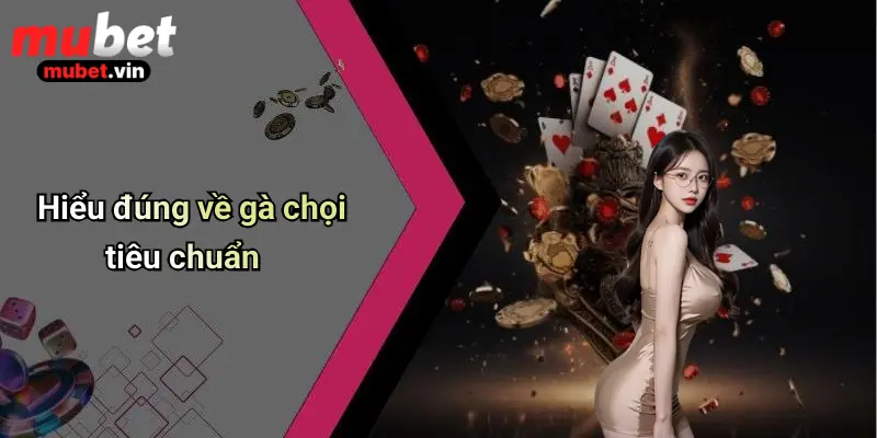 Hiểu đúng về gà chọi tiêu chuẩn