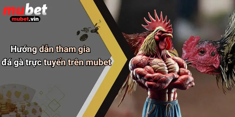 Hướng dẫn tham gia đá gà trực tuyến trên mubet