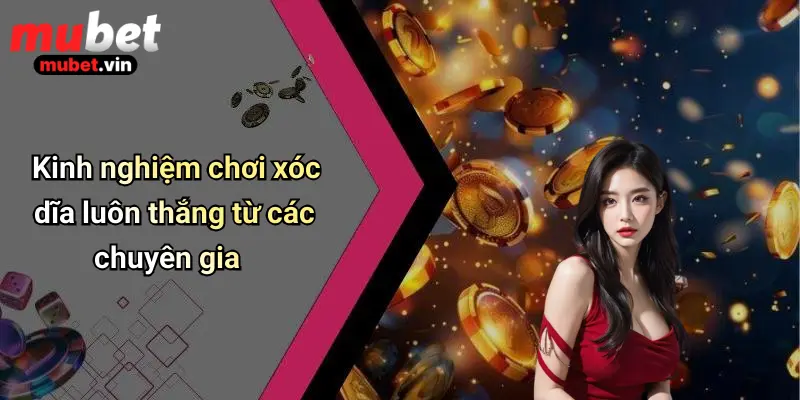 Kinh nghiệm chơi xóc dĩa luôn thắng từ các chuyên gia