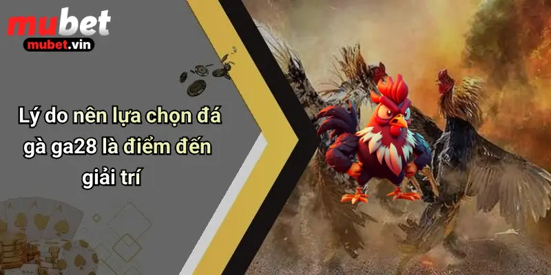 Lý do nên lựa chọn đá gà ga28 là điểm đến giải trí