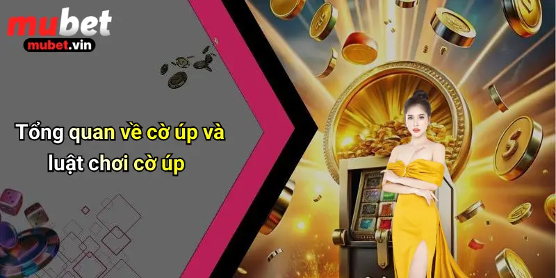 Tổng quan về cờ úp và luật chơi cờ úp